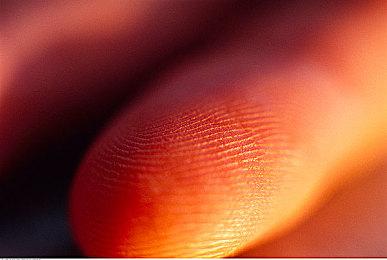 玩家晒偷跑《塞尔达王国之泪》美任前CEO震怒